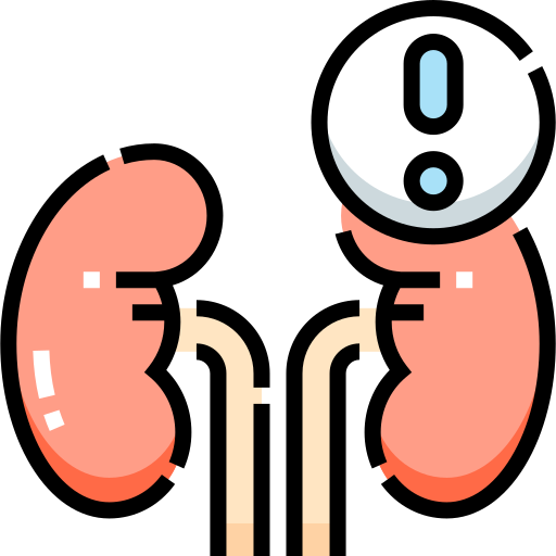Ícono de enfermedad renal en lupus.ar. Diseñado por https://www.flaticon.es